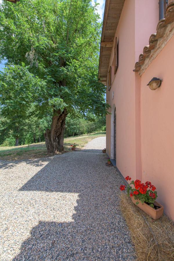 Tenuta Cascina Marenco 加维 外观 照片